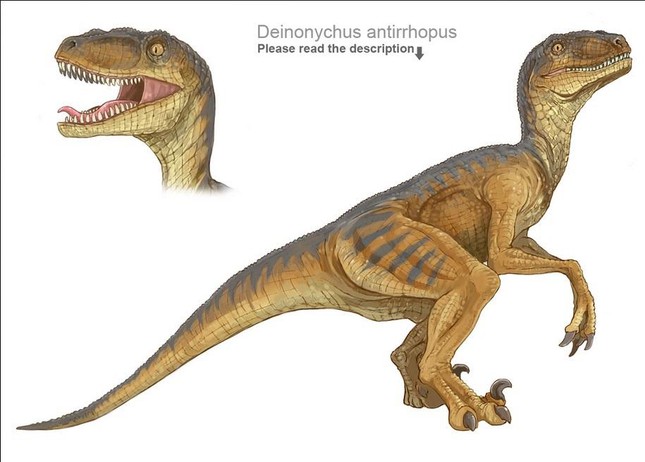 Hóa thạch khủng long tạo cảm hứng phim Công viên kỷ Jura được đấu giá hơn 12 triệu USD - Ảnh 2.