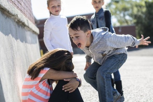 Children are constantly bullied in class, holding back or hitting back is not the right way, the effective way parents need to teach from the time their child is 3 - Photo 1.