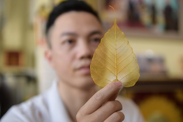  Gặp người không cho lá rụng... về gốc, tạo nên một nghề độc lạ ở Ninh Bình  - Ảnh 3.