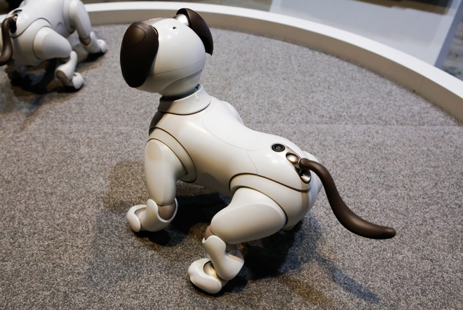 Khám phá chú chó robot Sony Aibo, món đồ chơi có giá 70 triệu mà mọi đứa trẻ đều mơ ước! - Ảnh 8.