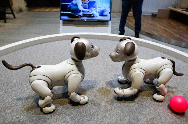 Khám phá chú chó robot Sony Aibo, món đồ chơi có giá 70 triệu mà mọi đứa trẻ đều mơ ước! - Ảnh 9.