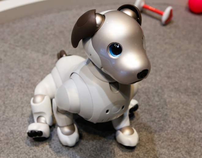 Khám phá chú chó robot Sony Aibo, món đồ chơi có giá 70 triệu mà mọi đứa trẻ đều mơ ước! - Ảnh 10.