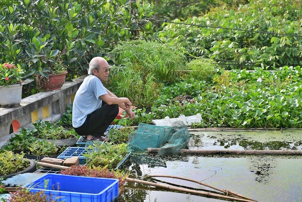 Cụ ông 87 tuổi chịu chơi mang cả cái ao đặt trên mái nhà rồi trồng rau nuôi cá: Nhiều người nói tôi liều lĩnh - Ảnh 2.