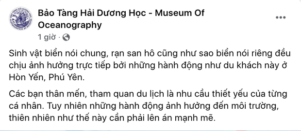  Nằm lên rạn san hô, vớt sao biển lên chụp ảnh sống ảo, người đàn ông bị lên án dữ dội bởi hành động tàn phá môi trường biển - Ảnh 1.