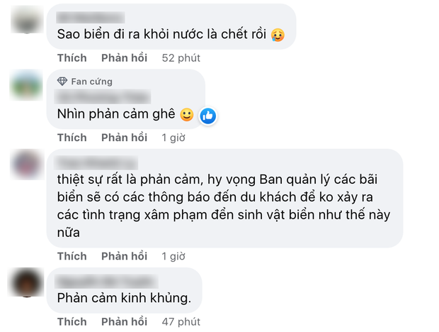  Nằm lên rạn san hô, vớt sao biển lên chụp ảnh sống ảo, người đàn ông bị lên án dữ dội bởi hành động tàn phá môi trường biển - Ảnh 5.