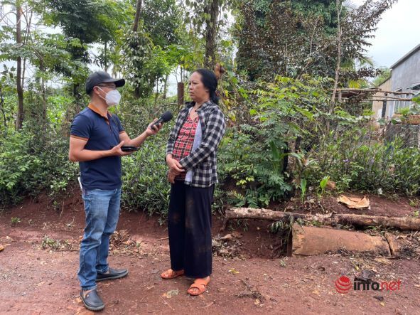 Sốt đất Tây Nguyên vừa cắt, lộ ra loạt chủ đất ngã ngửa vì mất trắng đất thổ cư dù chỉ giao dịch đất vườn - Ảnh 2.