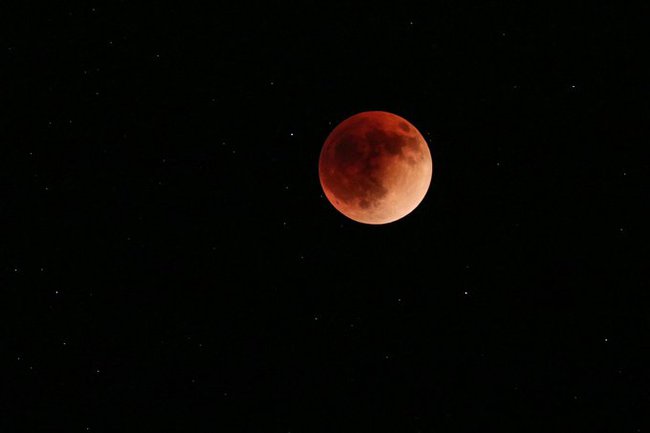 The first super lunar eclipse of the year: People are eager to see Hang blooming from all over the world - Photo 16.