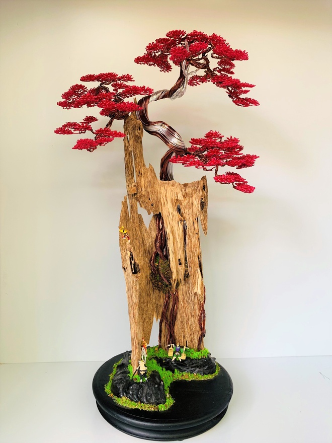 Kỹ sư bỏ việc nghìn đô, về làm bonsai bất tử bán cho đại gia: Doanh thu hơn 100 triệu đồng/ tháng - Ảnh 12.