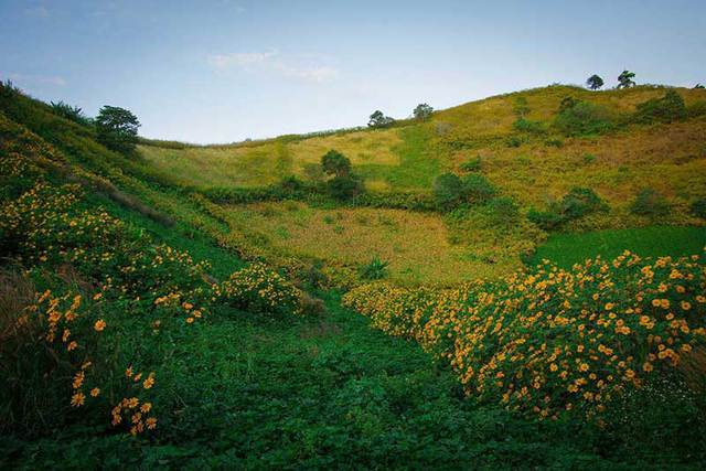 Thiên đường mới nổi ở Tây Nguyên: Miệng núi lửa uốn lượn giữa thiên nhiên hoang sơ, mỗi mùa lại được nhuộm màu bởi một loài hoa đẹp như cổ tích - Ảnh 5.