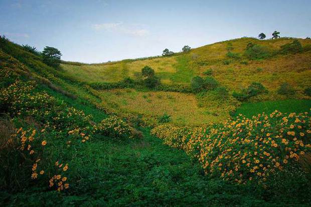 Thiên đường mới nổi ở Tây Nguyên: Miệng núi lửa uốn lượn giữa thiên nhiên hoang sơ, mỗi mùa lại được nhuộm màu bởi một loài hoa đẹp như cổ tích - Ảnh 7.