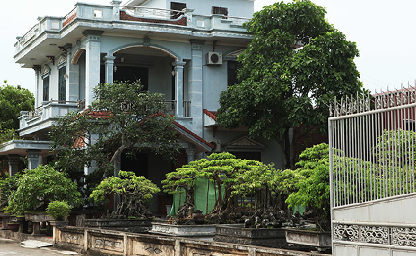 The giant village in the rice countryside of Thai Binh: Luxury villas spread throughout the village, with hundreds of stunned billionaires - Photo 6.