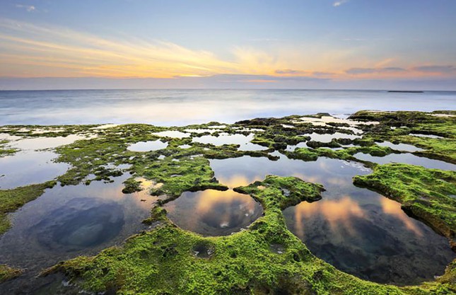 Surprised at the moss carpet in the most beautiful beach in Vietnam - Photo 1.