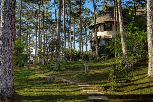 Resort 5 sao Đà Lạt được Hà Anh Tuấn và nhiều sao Việt yêu thích: Viên ngọc xanh ẩn giữa rừng thông, kiến trúc nguyên bản từ thời Pháp, giá từ 2-4 triệu đồng/đêm - Ảnh 8.