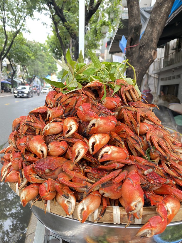 Hàng ba khía Cà Mau tại Sài Gòn tiết lộ mỗi tháng doanh thu trên 300 triệu đồng, tiền lời quá đủ để lo cho gia đình nhưng vẫn chọn bán lề đường vì một nỗi lo - Ảnh 10.