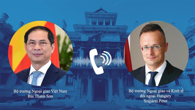  Việt Nam - EU trao đổi về tình hình Ukraine  - Ảnh 2.