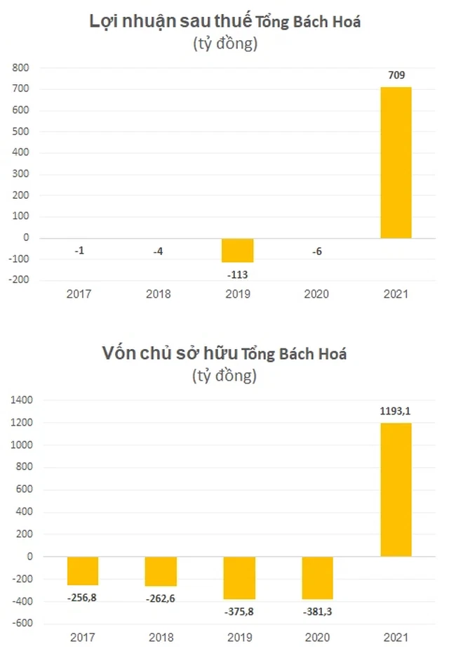 Đình chỉ tư cách kiểm toán viên ký báo cáo kiểm toán cho công ty liên quan đến Tân Hoàng Minh  - Ảnh 1.