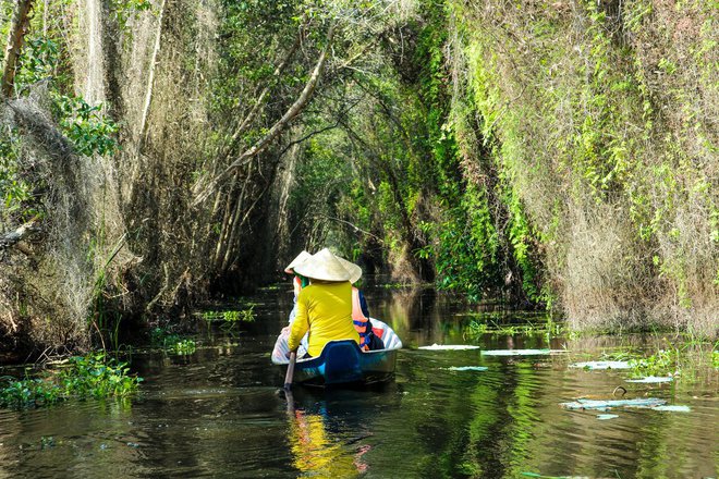 After going up the mountain, into the sea, I went to the primeval forest to explore, go to the floating village to row a boat right next to Ho Chi Minh City - Photo 15.