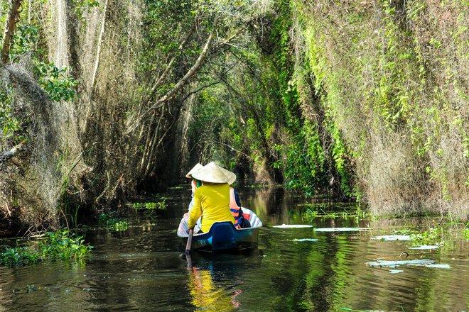 Hết lên núi, xuống biển rồi thì mình vào rừng nguyên sinh thám hiểm, đi làng nổi chèo ghe ngay sát TP.HCM - Ảnh 15.