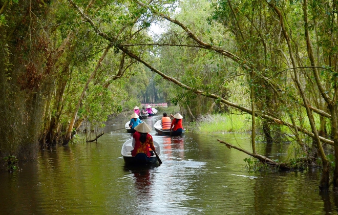 After going up the mountain, into the sea, then I went to the primeval forest to explore, go to the floating village to row a boat right next to Ho Chi Minh City - Photo 16.