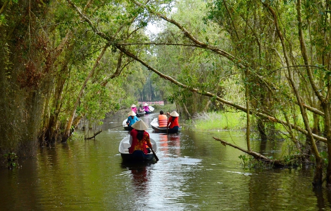 Hết lên núi, xuống biển rồi thì mình vào rừng nguyên sinh thám hiểm, đi làng nổi chèo ghe ngay sát TP.HCM - Ảnh 16.