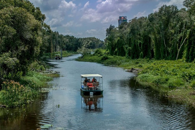 After going up the mountain, into the sea, I went to the primeval forest to explore, go to the floating village to row a boat right next to Ho Chi Minh City - Photo 18.