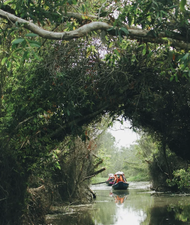 After going up the mountain, going down to the sea, I went to the primeval forest to explore, go to the floating village to row a boat right next to Ho Chi Minh City - Photo 23.