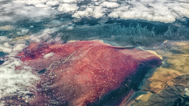Hồ nước đỏ ở Tanzania này sở hữu siêu năng lực biến hầu hết các sinh vật thành đá - Ảnh 9.