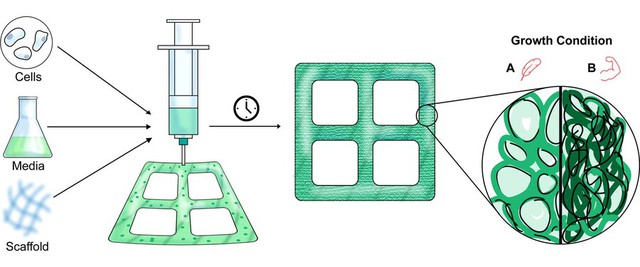   What is concrete and meat already?  In the near future, wood can also be 3D printed - Photo 2.