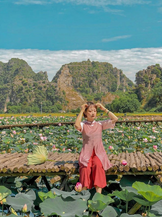 Đừng bỏ lỡ mùa sen đẹp nhất Ninh Bình: Góc nào đứng vào cũng ngút ngàn! - Ảnh 13.