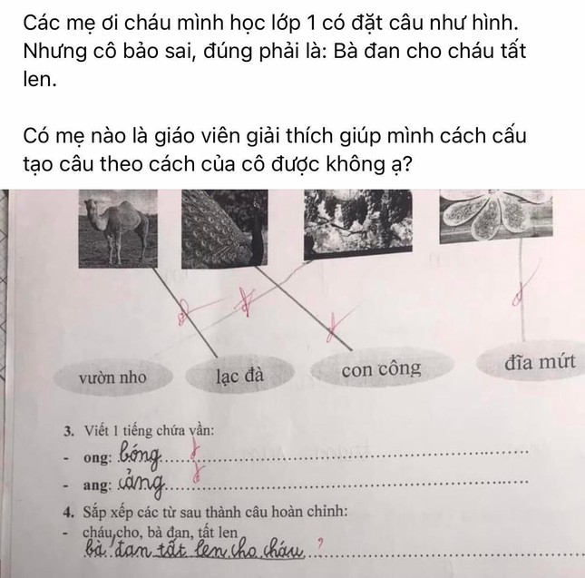 Học sinh lớp 1 làm bài sắp xếp câu tiếng Việt, đáp án của cô giáo khiến dân mạng tranh cãi - Ảnh 1.