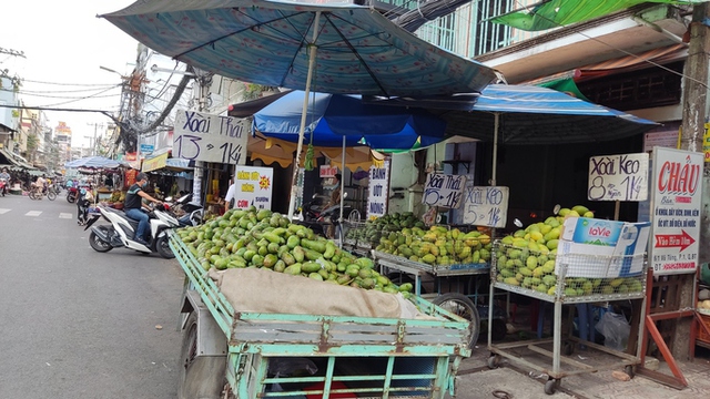 Chủ vựa xoài còn thê thảm hơn nông dân, lợi nhuận giảm đến gần 92% - Ảnh 1.