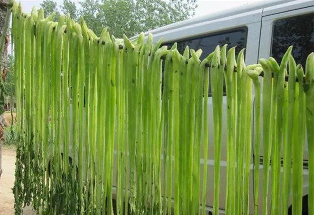   Vietnam has 4 kinds of vegetables that are more expensive than fish and meat, but if you want to eat them, you won't have to buy them - Photo 2.