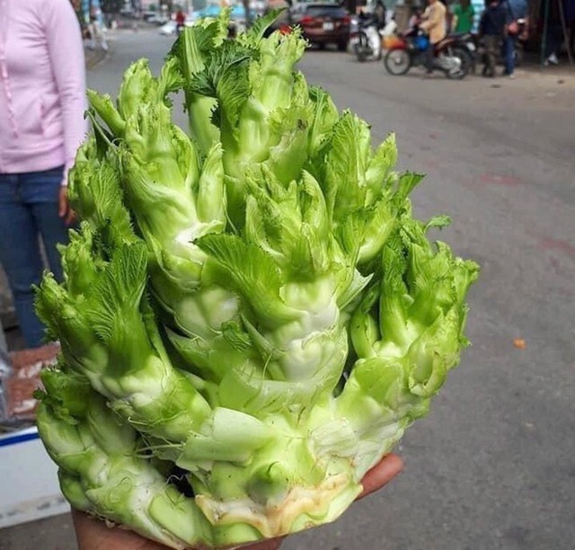   Vietnam has 4 types of vegetables that are more expensive than fish and meat. If you want to eat, you may not have to buy them - Photo 5.