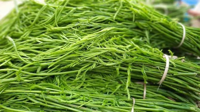 Việt Nam có 4 loại rau giá đắt hơn cả thịt cá, muốn ăn cũng chưa chắc đã có để mua - Ảnh 10.