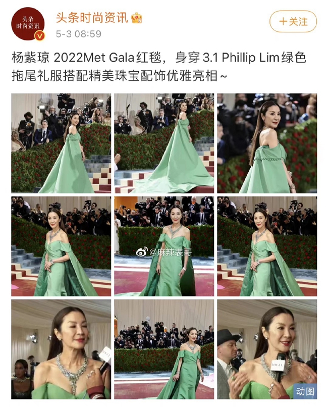 Sự cố tại Met Gala 2022: Nhìn ảnh mỹ nhân U60, fan ruột của Dương Tử lại nhận nhầm thành thần tượng - Ảnh 1.