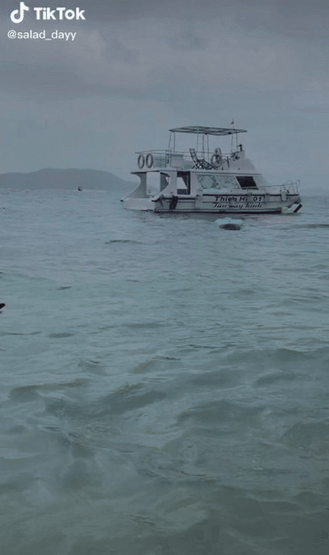 Xôn xao cảnh sinh vật lạ xuất hiện ở biển Nha Trang, ngỡ ngàng hơn là phản ứng của nhóm du khách xung quanh - Ảnh 2.