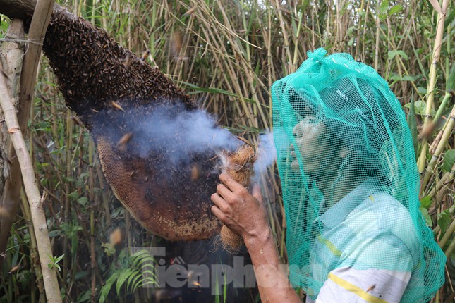 Theo chân thợ gác kèo ong ở vùng đất cuối trời - Ảnh 4.