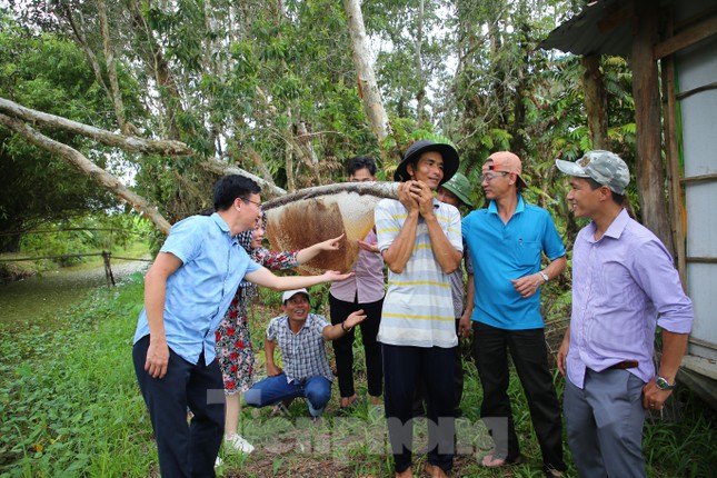 Theo chân thợ gác kèo ong ở vùng đất cuối trời - Ảnh 5.