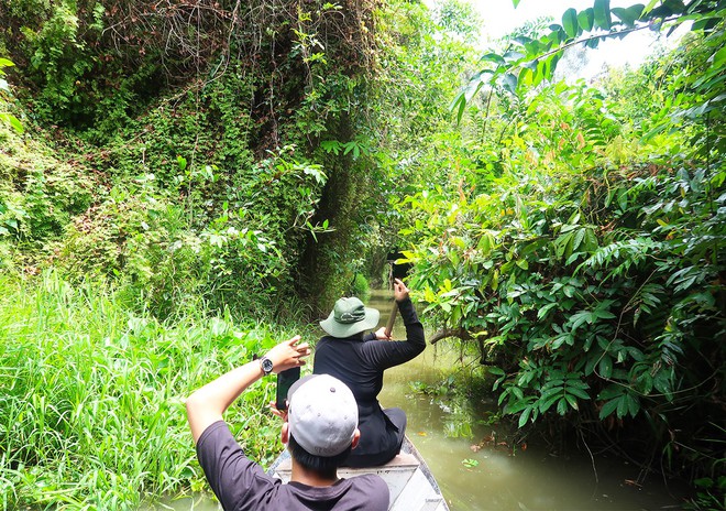 Immediately save the smooth green tourist areas near Ho Chi Minh City to enter the forest and go to the mountains this summer - Photo 10.