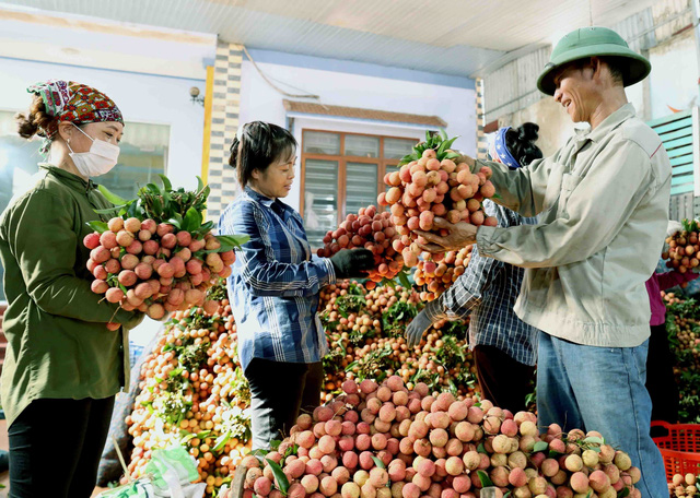 Nearly 450,000 VND/kg of lychee in the US - Photo 1.