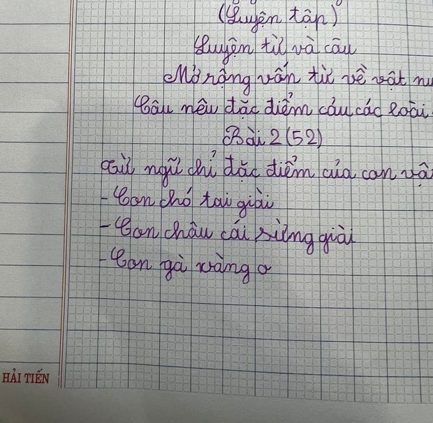 Doing exercises to make sentences stating the characteristics of animals, elementary school girls make netizens laugh and cry - Photo 1.