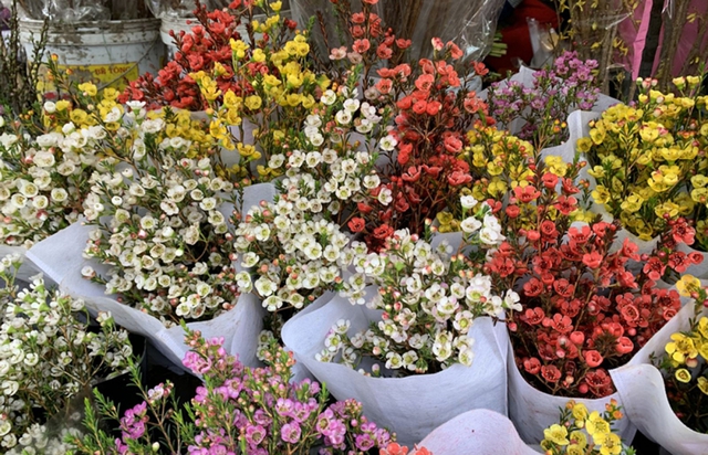   Strange types of flowers and fruits you may not have heard of, but make people fascinated, plug them in for a whole month - Photo 8.