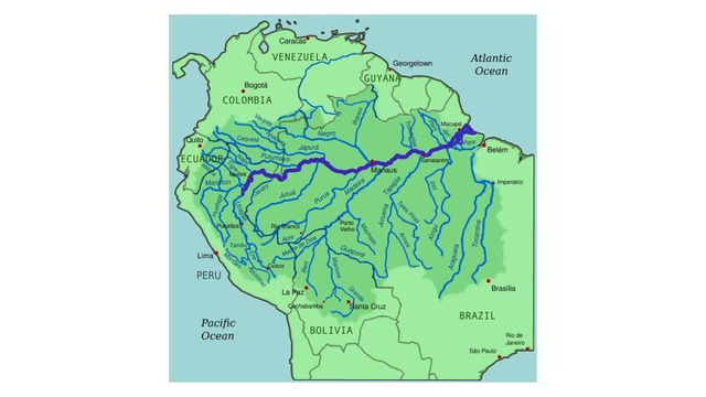 Tại sao không có cây cầu nào bắc qua sông Amazon? - Ảnh 2.