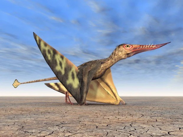 Xương hoá thạch loài thằn lằn bay hé lộ bí mật mới về cuộc sống cổ xưa - Ảnh 2.
