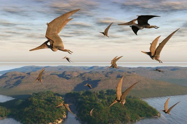 Xương hoá thạch loài thằn lằn bay hé lộ bí mật mới về cuộc sống cổ xưa - Ảnh 4.