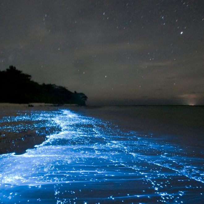Giữa thiên đường Maldives tồn tại một bãi biển huyền ảo đến vô thực, được ví như dải Ngân hà - Ảnh 6.