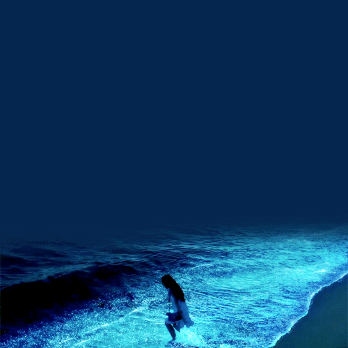 Giữa thiên đường Maldives tồn tại một bãi biển huyền ảo đến vô thực, được ví như dải Ngân hà - Ảnh 7.