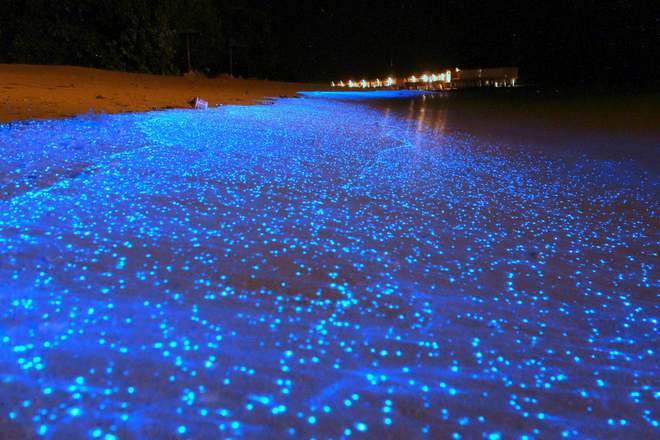 Giữa thiên đường Maldives tồn tại một bãi biển huyền ảo đến vô thực, được ví như dải Ngân hà - Ảnh 9.