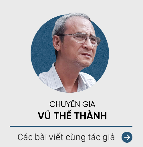 Expert Vu The Thanh: Many people crave tuna and mackerel but still abstain.  Too bad!  - Photo 3.