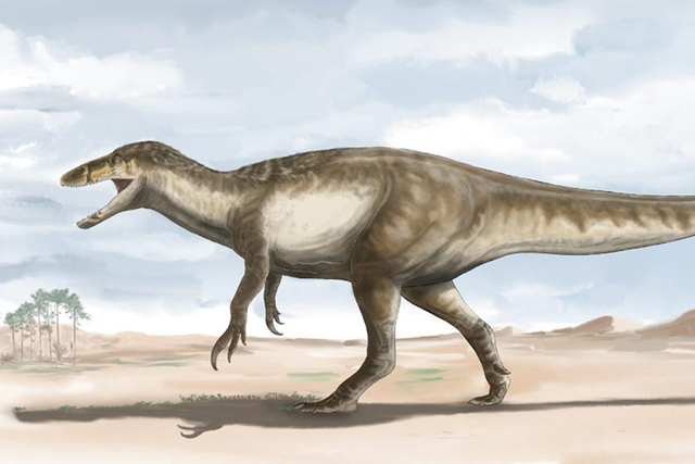 Không phải khủng long bạo chúa, loài khủng long này còn to lớn hơn, nguy hiểm hơn rất nhiều lần - Ảnh 3.